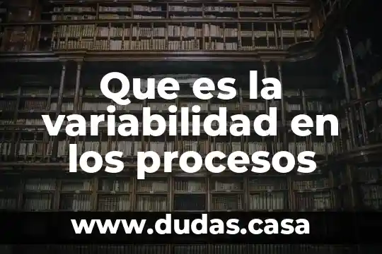 Que es la variabilidad en los procesos