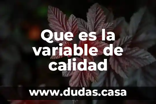 Que es la variable de calidad