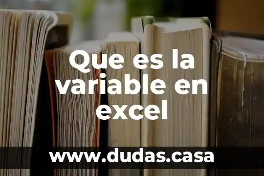 Que es la variable en excel