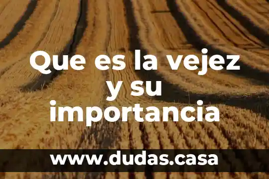 Que es la vejez y su importancia