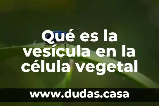 Qué es la vesícula en la célula vegetal