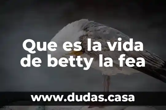 Que es la vida de betty la fea