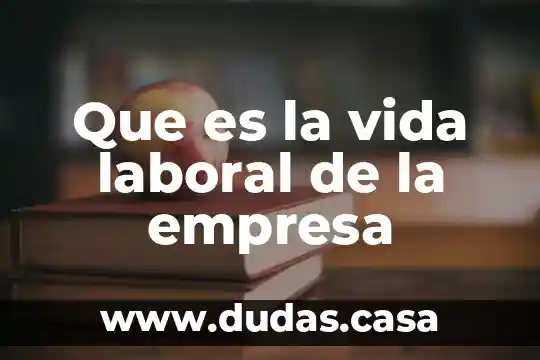 Que es la vida laboral de la empresa