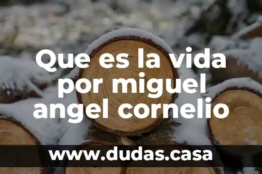 Que es la vida por miguel angel cornelio