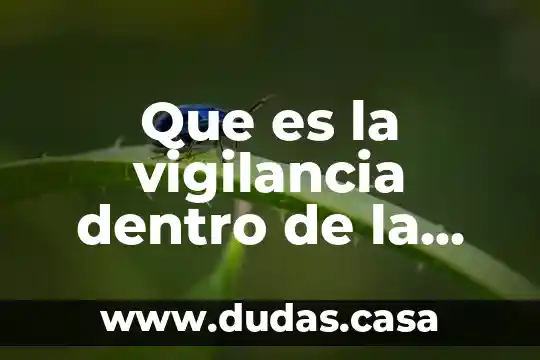 Que es la vigilancia dentro de la investigacion
