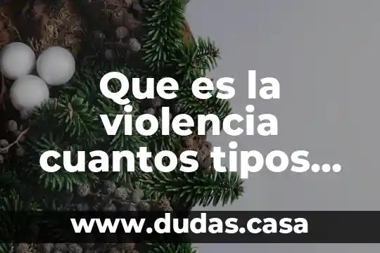 Que es la violencia cuantos tipos hay