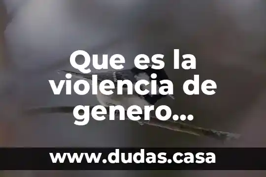 Que es la violencia de genero significado