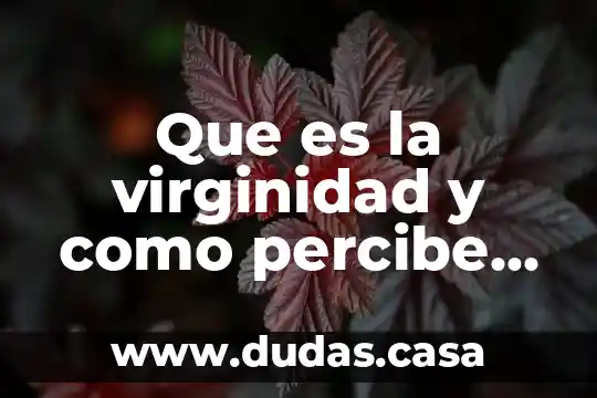Que es la virginidad y como percibe este concepto