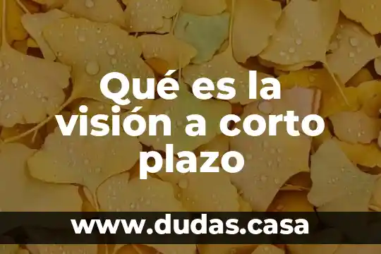 Qué es la visión a corto plazo