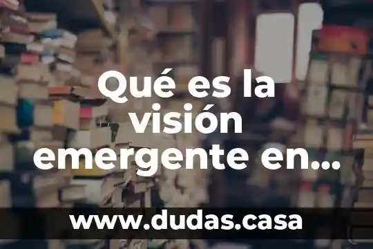 Qué es la visión emergente en arquitectura