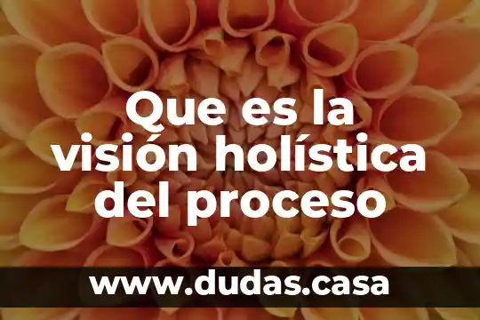 Que es la visión holística del proceso