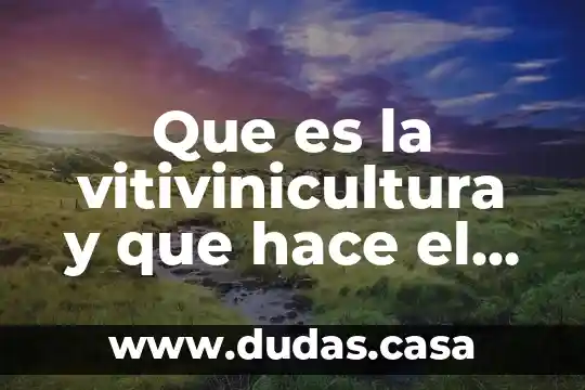 Que es la vitivinicultura y que hace el viticultor