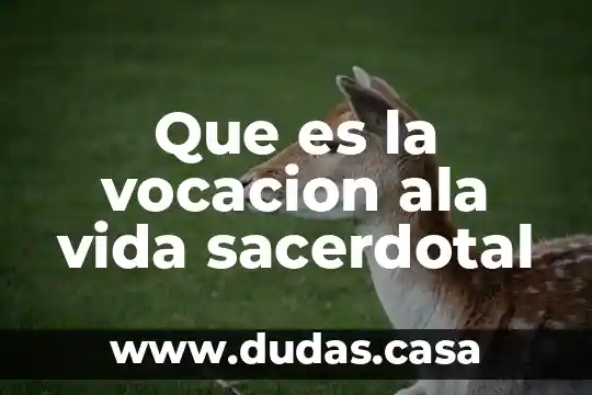 Que es la vocacion ala vida sacerdotal