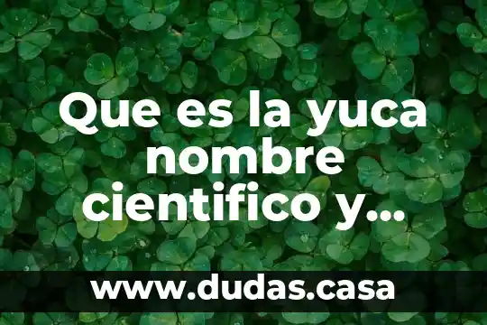 Que es la yuca nombre cientifico y para qué sirve