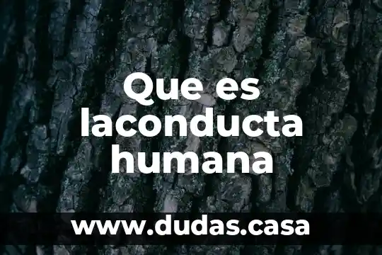 Que es laconducta humana