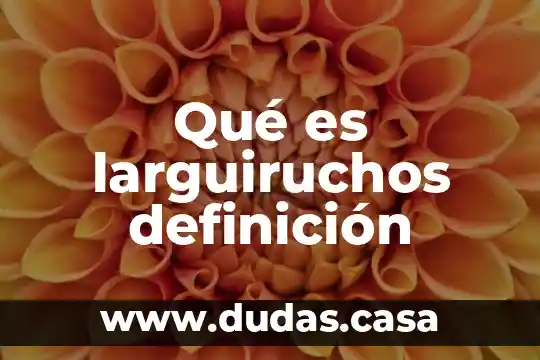 Qué es larguiruchos definición