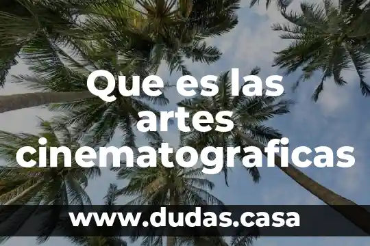 Que es las artes cinematograficas