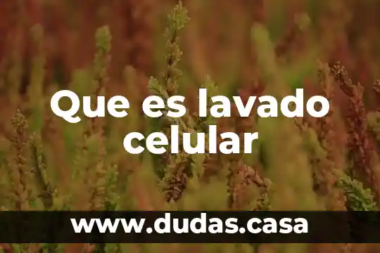 Que es lavado celular