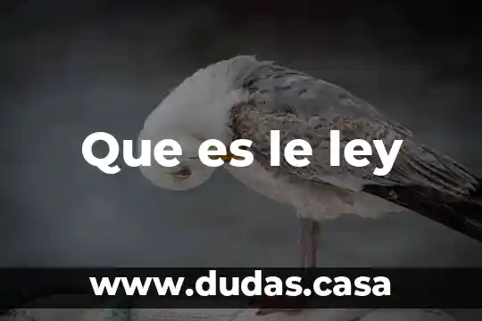 Que es le ley