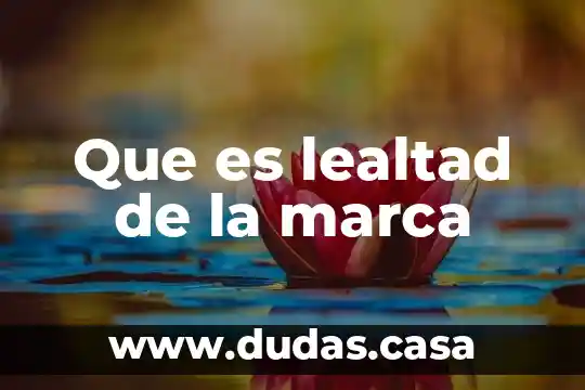 Que es lealtad de la marca