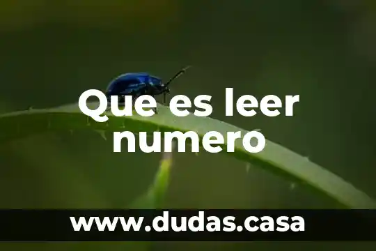 Que es leer numero