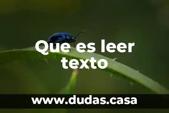 Que es leer texto