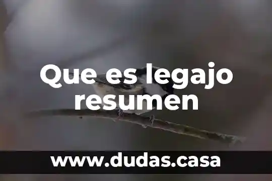 Que es legajo resumen