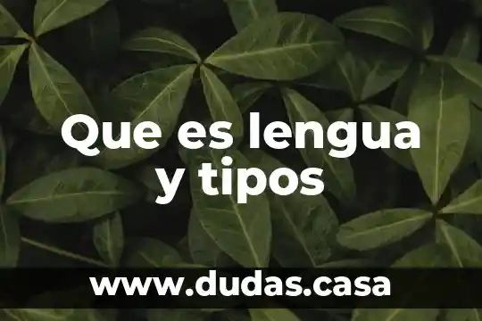 Que es lengua y tipos