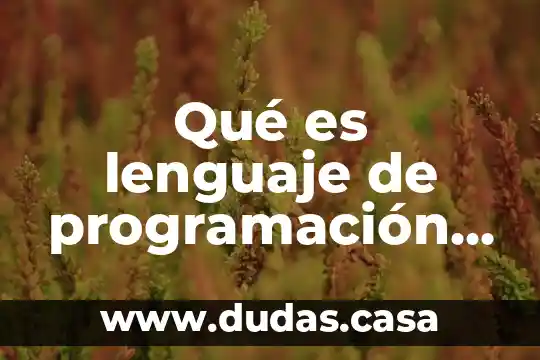 Qué es lenguaje de programación R