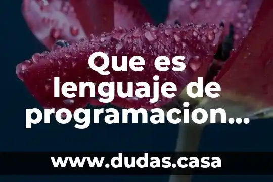 Que es lenguaje de programacion tipos
