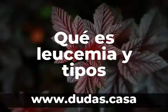 Qué es leucemia y tipos