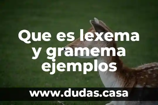 Que es lexema y gramema ejemplos