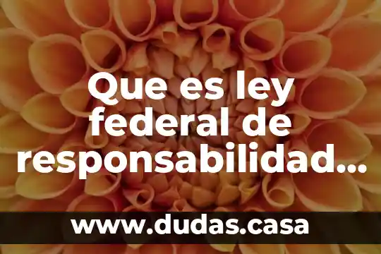 Que es ley federal de responsabilidad de los servidores publicos