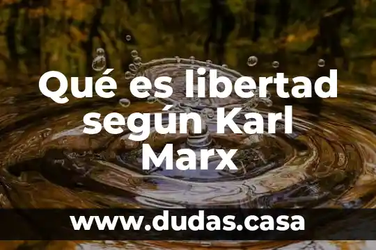 Qué es libertad según Karl Marx