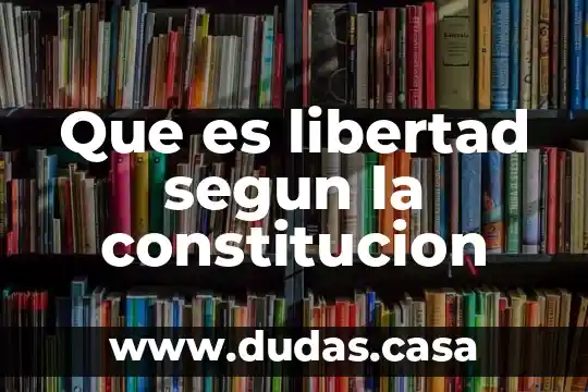 Que es libertad segun la constitucion