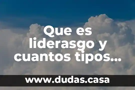 Que es liderasgo y cuantos tipos de liderasgos se conoce