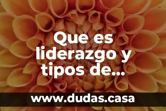 Que es liderazgo y tipos de liderazgo