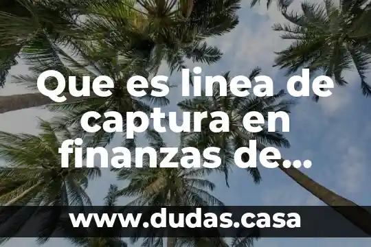 Que es linea de captura en finanzas de mexico