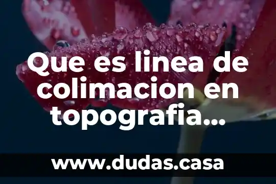 Que es linea de colimacion en topografia concepto