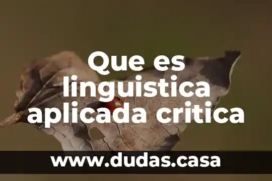 Que es linguistica aplicada critica