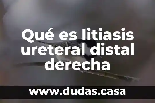 Qué es litiasis ureteral distal derecha