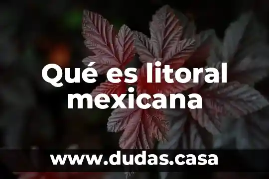 Qué es litoral mexicana