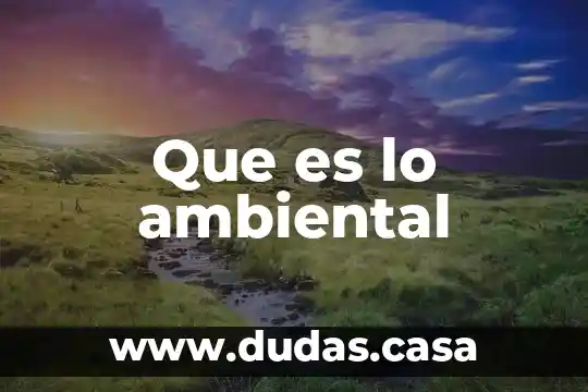 Que es lo ambiental