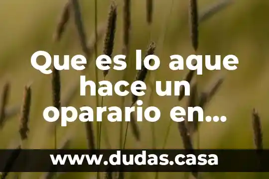 Que es lo aque hace un oparario en una fabrica 22 Que es lo aque hace un oparario en una fabrica