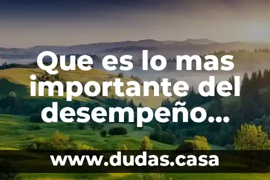 Que es lo mas importante del desempeño mental definicion