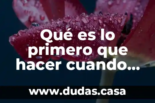 Qué es lo primero que hacer cuando estas embarazada