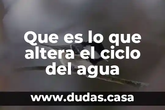 Que es lo que altera el ciclo del agua