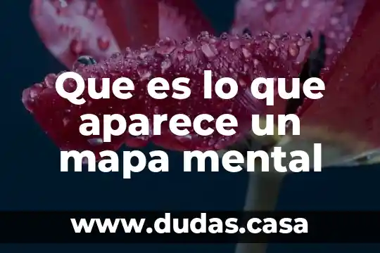 Que es lo que aparece un mapa mental