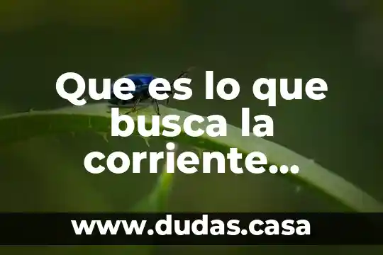 Que es lo que busca la corriente humanista