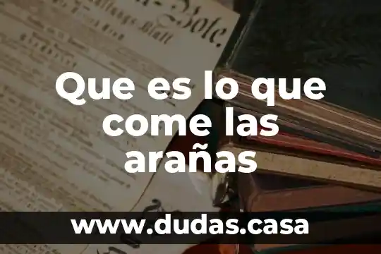 Que es lo que se come de la espinaca 8 Que es lo que come las arañas